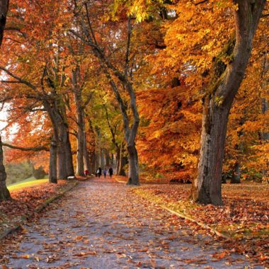 Incredible Autumn walks on the Celtic routes